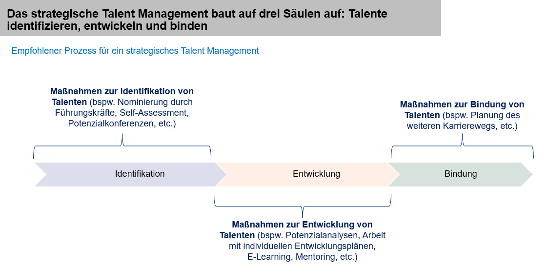 Prozess zur Entwicklung eines strategischen Talent Management